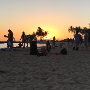 Meet your Posher, Maddy